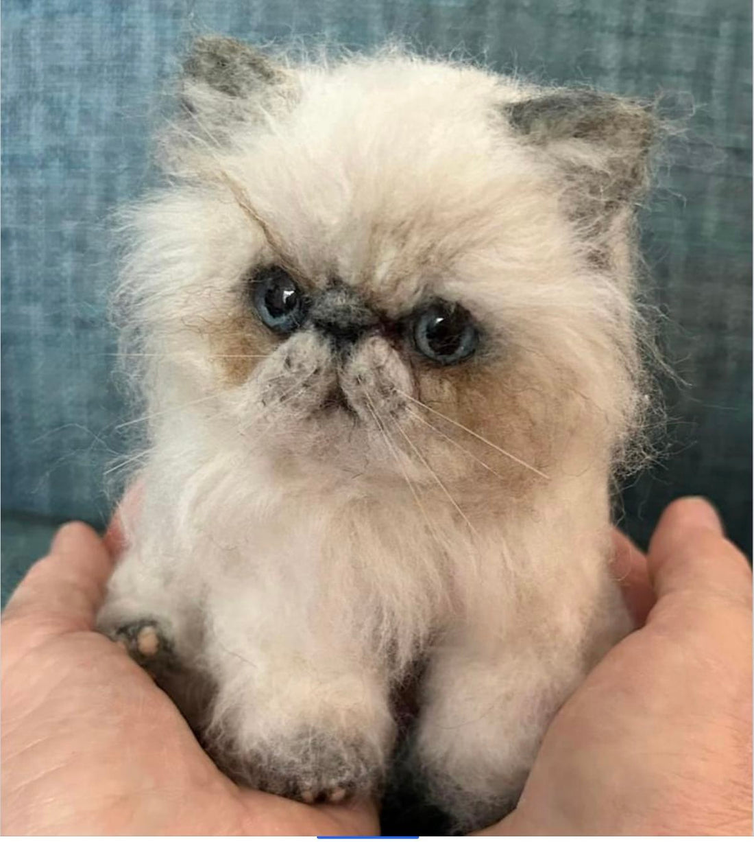 Pawimprint’s Complete Guide to Planning a Pet Memorial