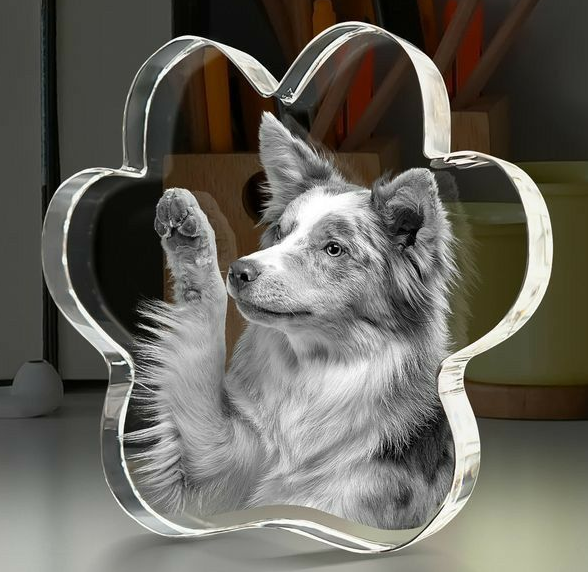 Transforming Grief into Love with Pawimprint Wool Felt and Glass Portraits