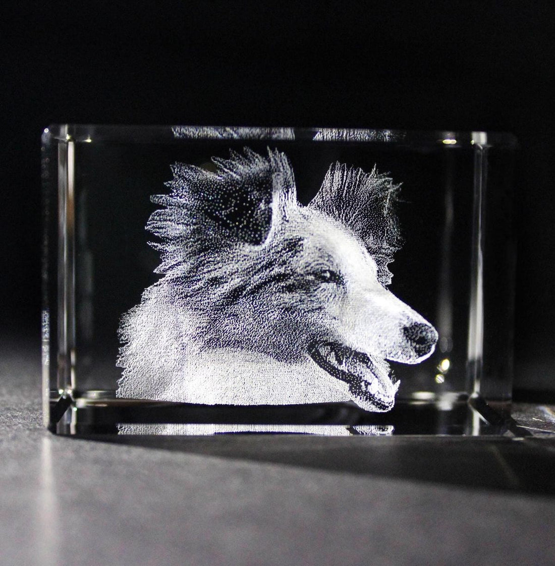 Finding the Right Gift for a Friend Mourning a Pet