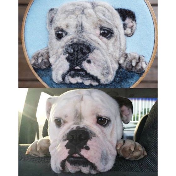 Pet loss sympathy gift ideas in 2026