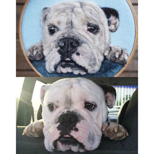 Pet loss sympathy gift ideas in 2026