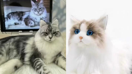 Custom vs Ready-Made Realistic Stuffed Animals Which Is Best for You