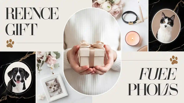 10 Thoughtful Pet Sympathy Gifts to Bring Comfort After Loss