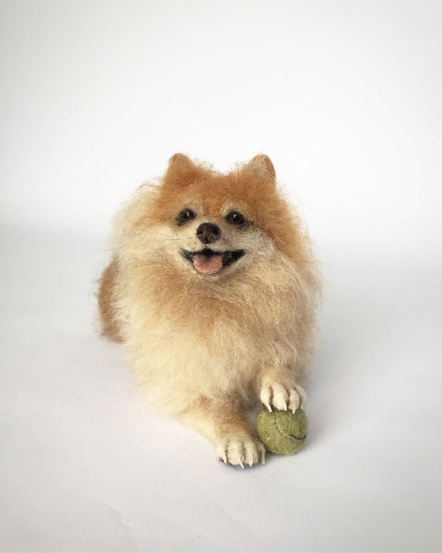 What is Pet Wool Felt and Why Pet Owners Love It