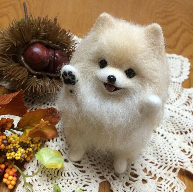 Personalized Pet Gifts Make Memories That Ordinary Presents Can’t Match