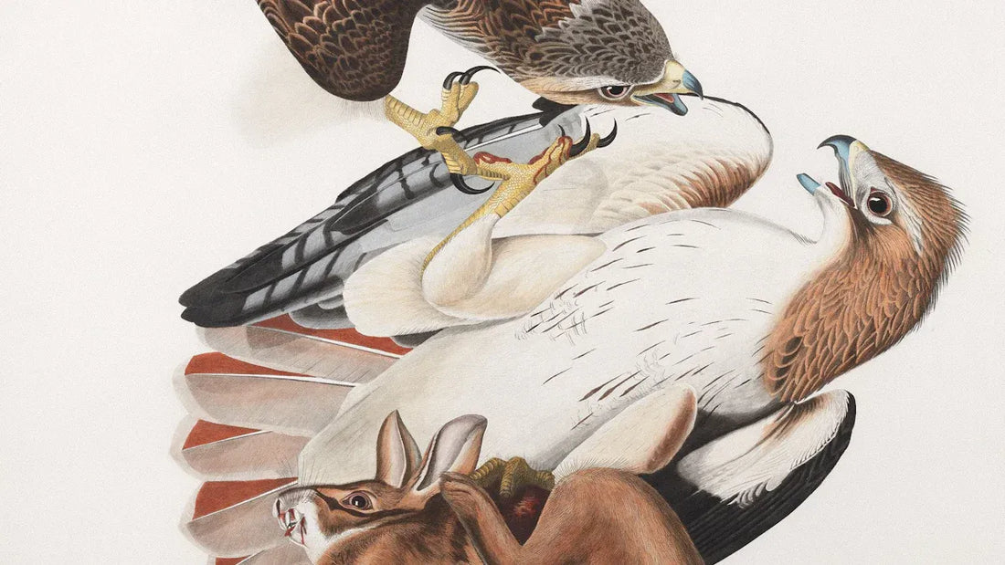 What Makes Victorian Pet Portraits a Unique Gift Idea