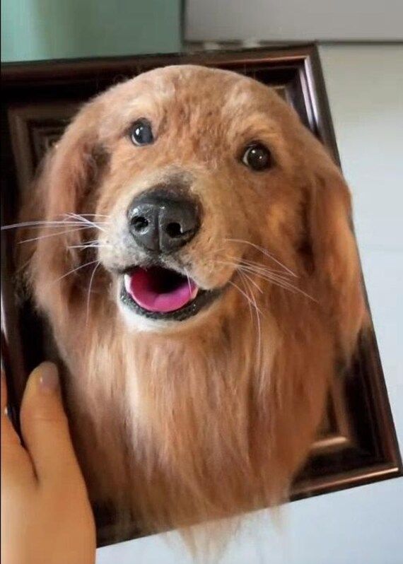 10 Unique Personalized Memorial Gifts for Pet Loss from PawImprint