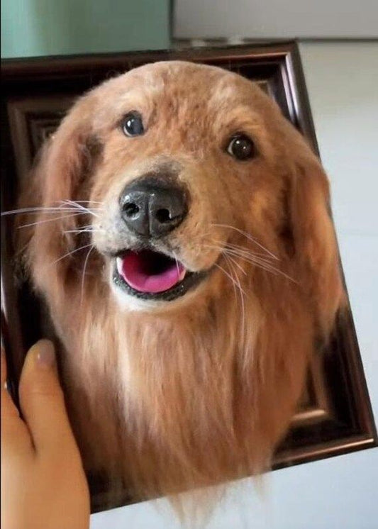 10 Unique Personalized Memorial Gifts for Pet Loss from PawImprint