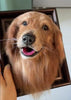 10 Unique Personalized Memorial Gifts for Pet Loss from PawImprint