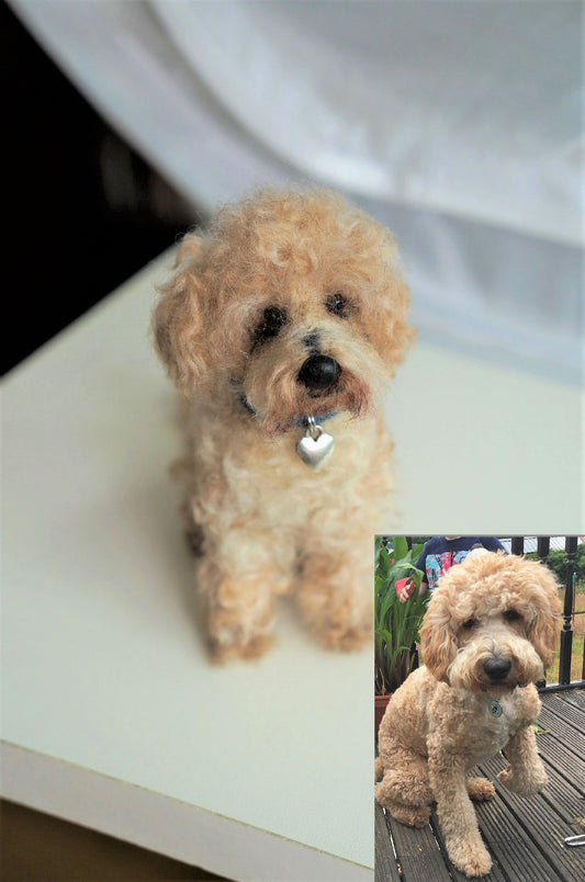 Heartwarming Stories of Unique Pet Memorial Gifts Bringing Comfort