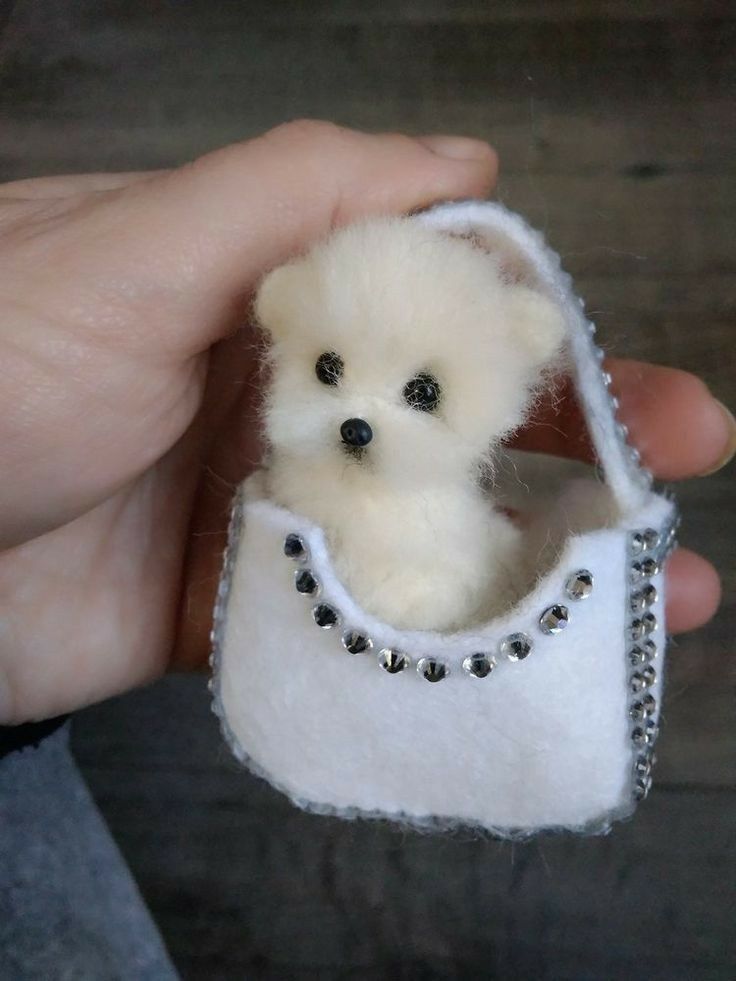 Unique Gift Ideas for Women That Are Anything but Ordinary