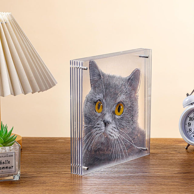 Floating Memory Gallery Comparing 3D Pet Portraits in Acrylic Glass and Canvas