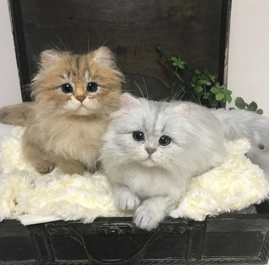 What to Expect When You Order a Custom Pet Wool Felt