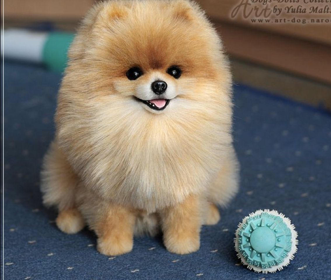 Custom-Dog Wool Felt Full Body Portrait