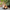 3D Custom Stuffed Animals From Picture - Lifelike Full Body Pet Portraits | pawimprint