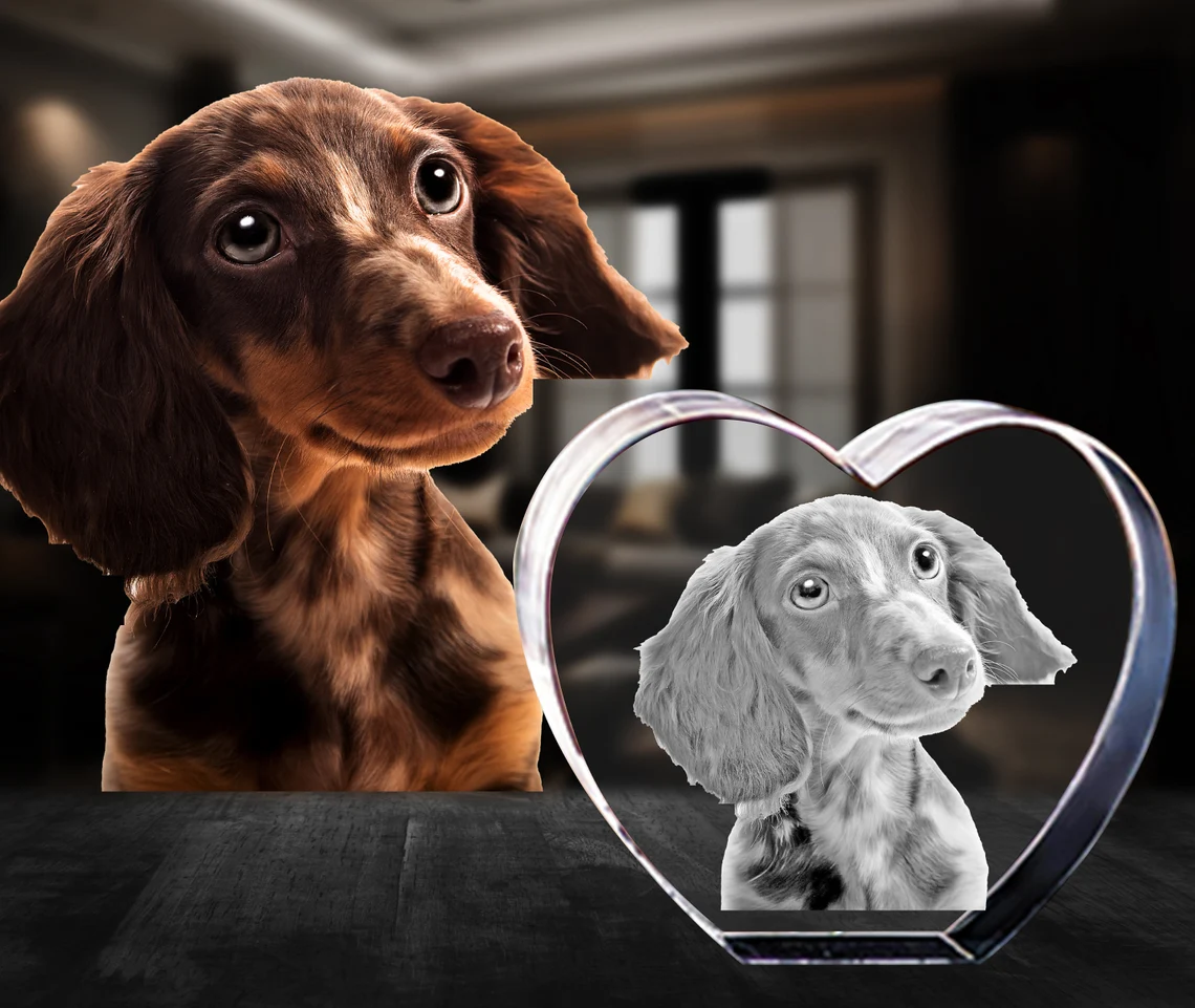Personalized 3D Pet Photo Heart Shaped Crystal - Not Just For Pets! (With Free Custom Socks)