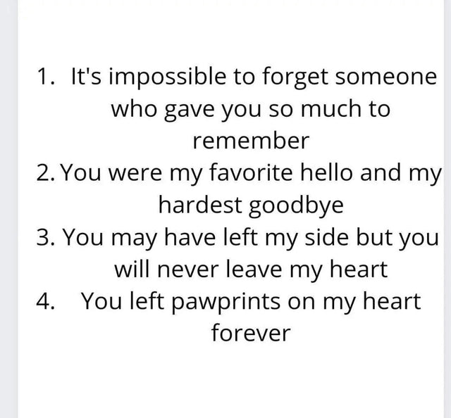 Pet Memorial frame for collar