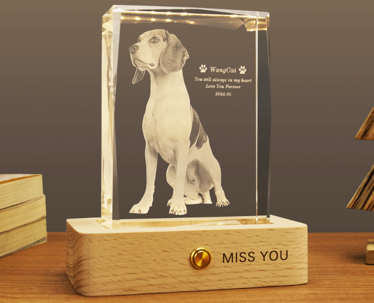 Personalized 3D Pet Photo Rectangular Crystal - Not Just For Pets!
