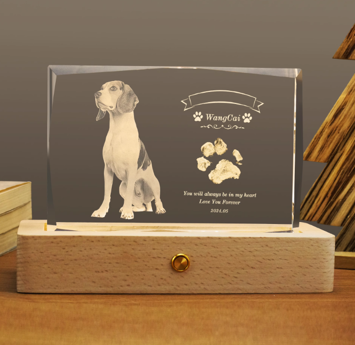 Personalized 3D Pet Photo Rectangular Crystal - Not Just For Pets!