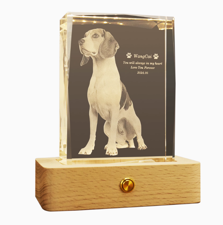 Personalized 3D Pet Photo Rectangular Crystal - Not Just For Pets!