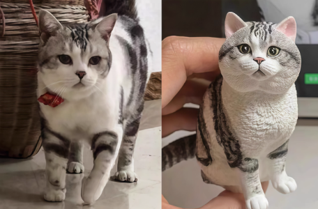 3D Printing Pet Figure Customization