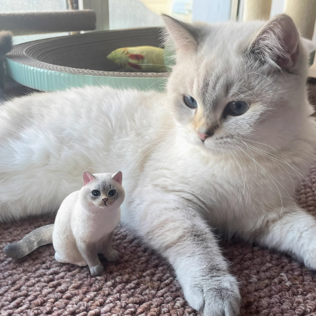 3D Printing Pet Figure Customization