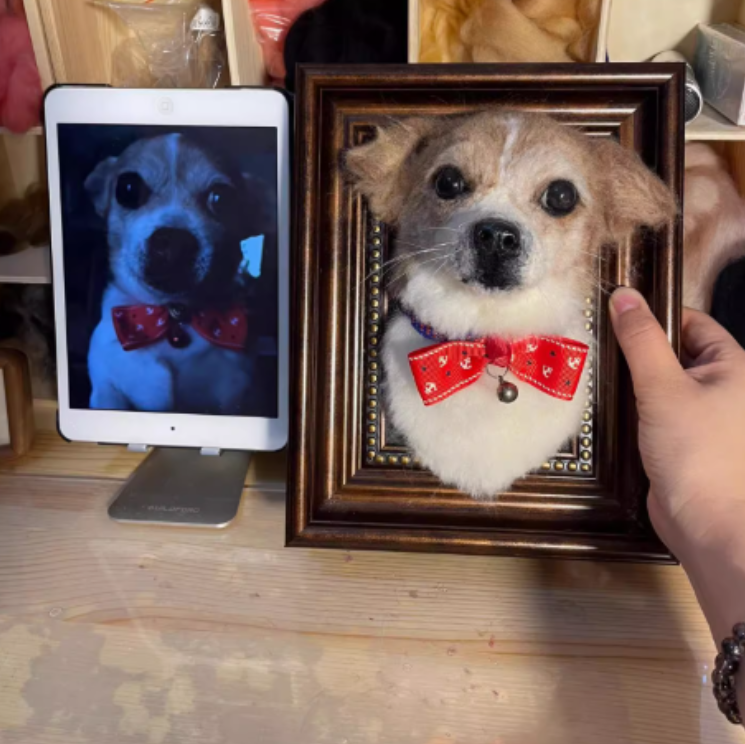 Custom Pet Wool Felt Photo Frame