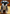 Custom-Pet Wool Felt Full Body Portrait